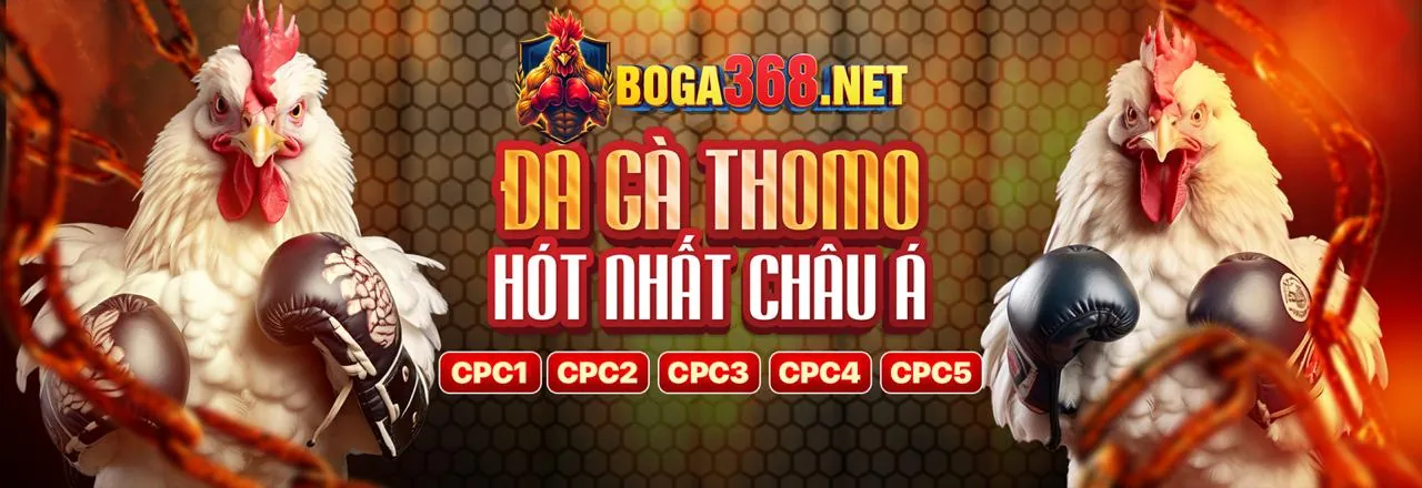 Đá Gà Trực Tuyến V8Club Login 2026